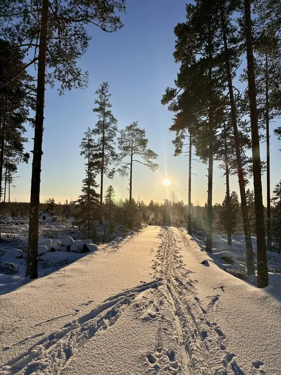 Уютный домик на берегу речки