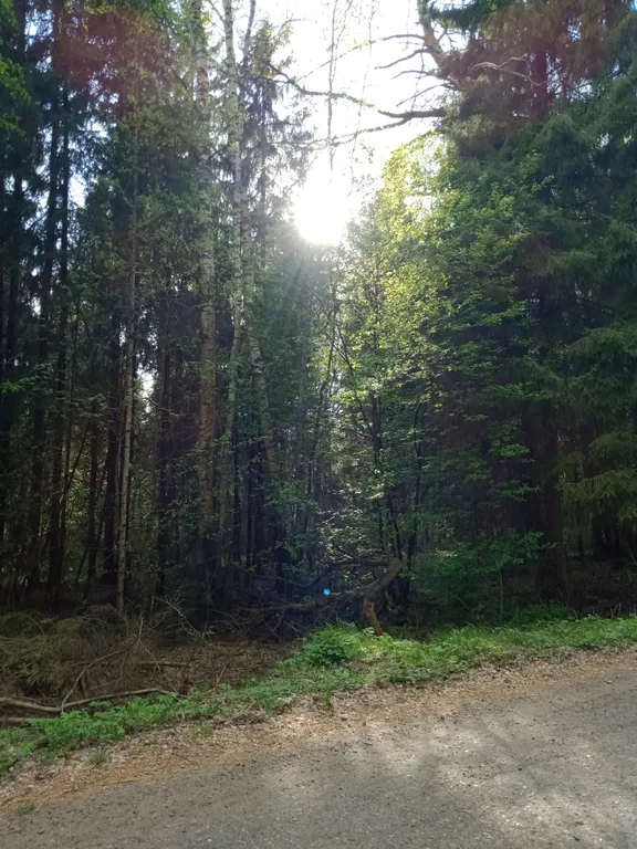 Уютный семейный дом недалеко от города