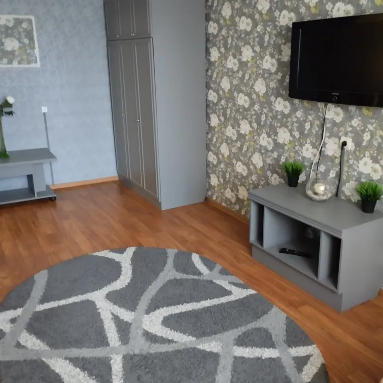 Уютная квартира в центре города