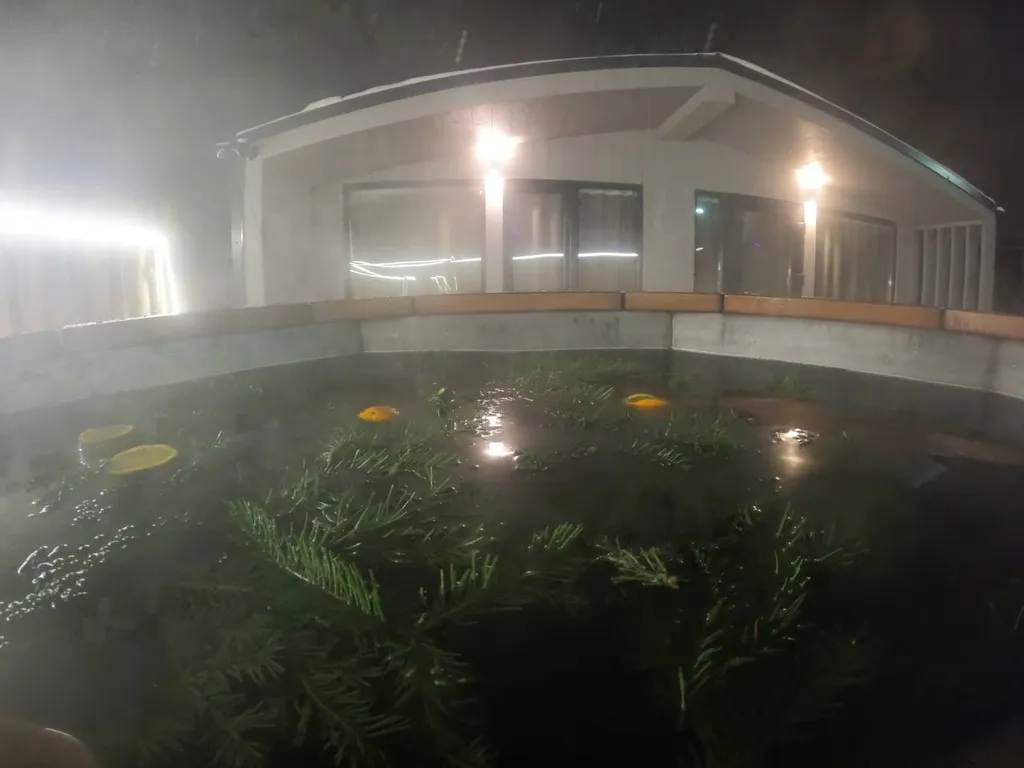 Уютный дизайнерский коттедж с территорией