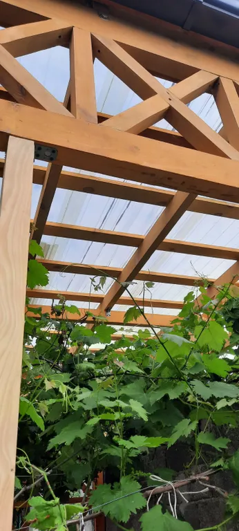 Квартира Комната — Лазаревское