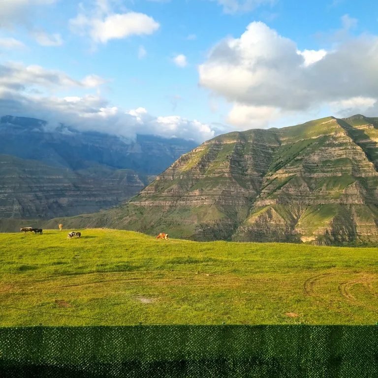 Коттедж Дом Барнахус Как Doma — Шамилькала