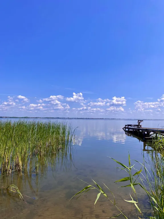 Дом с баней на берегу озера