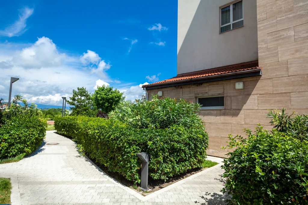 6-комнатные апартаменты Pulsar Apartments