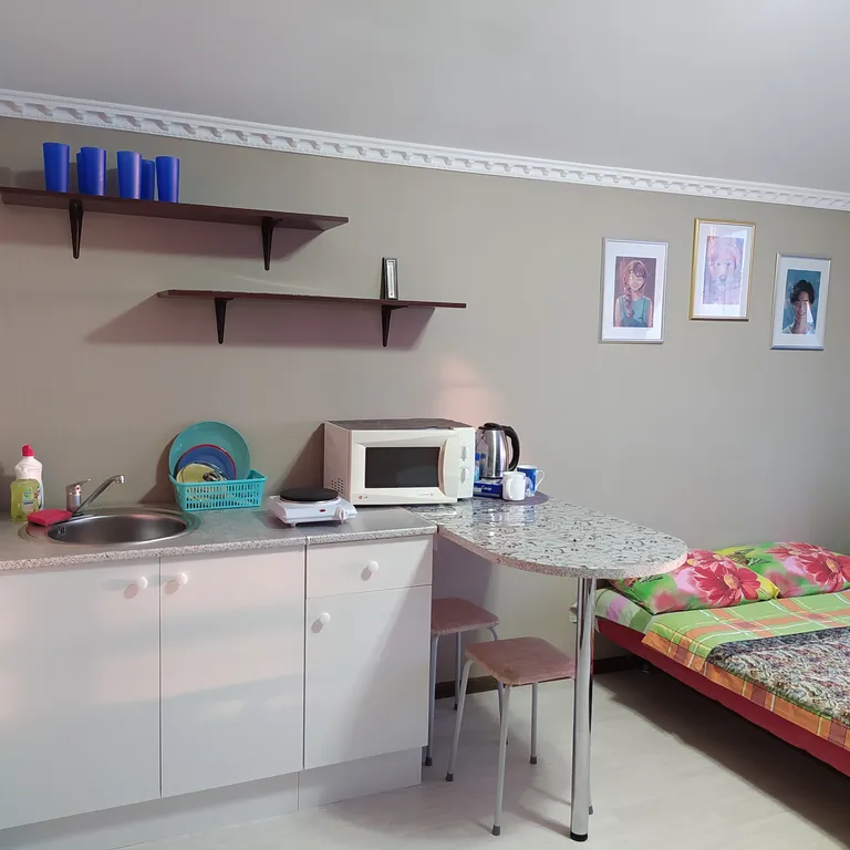 Эксклюзивный апартамент у кремля, вид на кремль