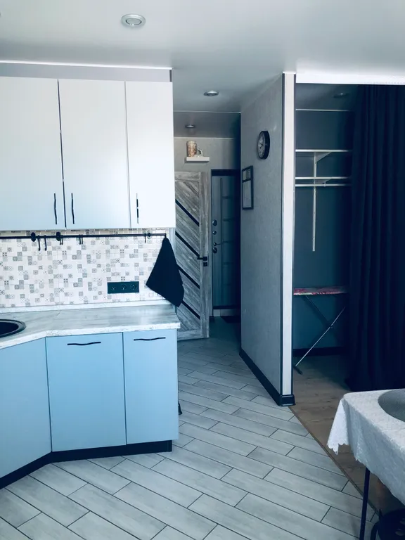 Отличная квартира-студия серый кот