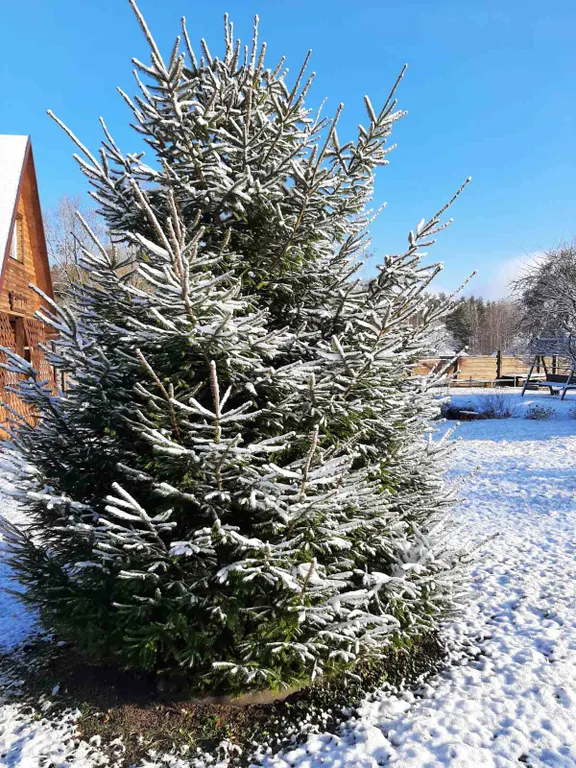 Агроусадьба "У Лешего"