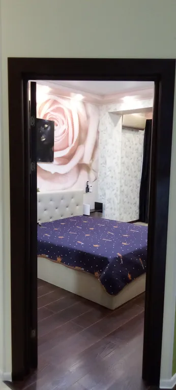 Квартира Квартира Евродвушка у моря между Олимпийским парком и Мандарином — Сириус