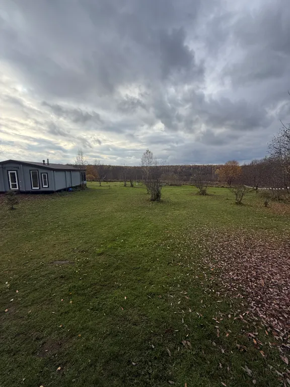 Дом в лесу из клеенного бруса