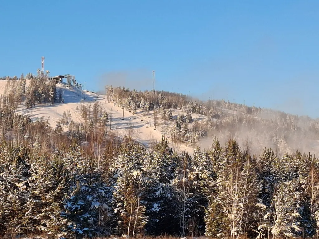 Дом в лесу с большой террасой