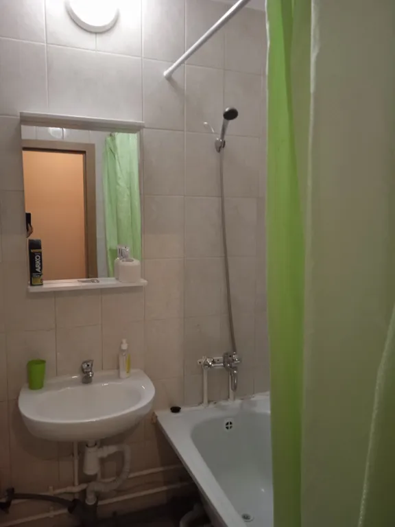 Квартира Квартира Уютная студия напротив НИИ им. Петрова — Песочный