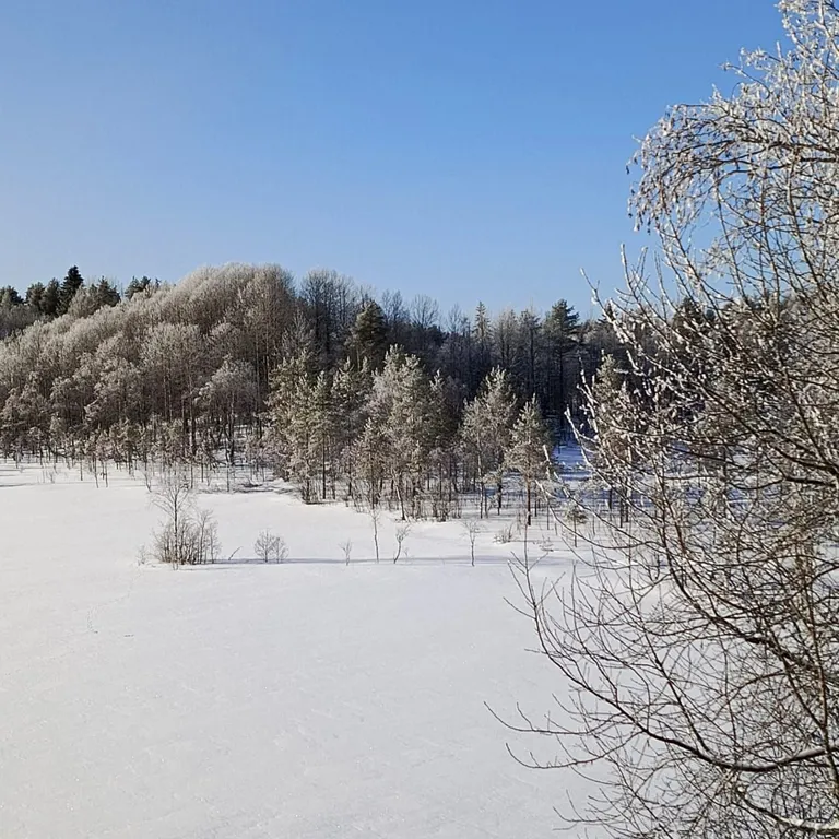 Меличуярви дом из бревна с сауной на берегу озера у самого леса