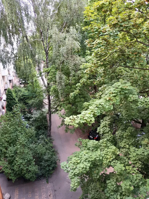 Квартира 1-комнатная Квартира — Калининград