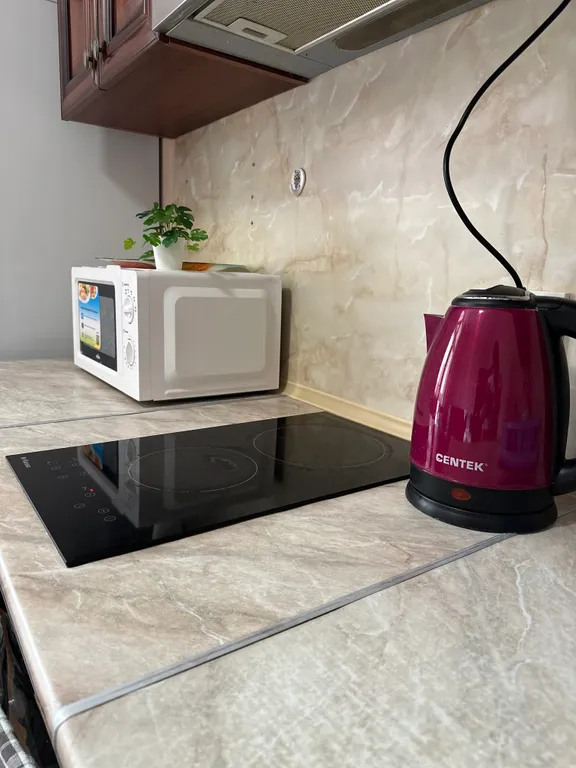 Квартира Квартира в районе парка Галицкого с видом на стадион — Краснодар