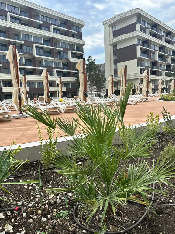 Двухкомнатные Апартаменты с видом на море и горы