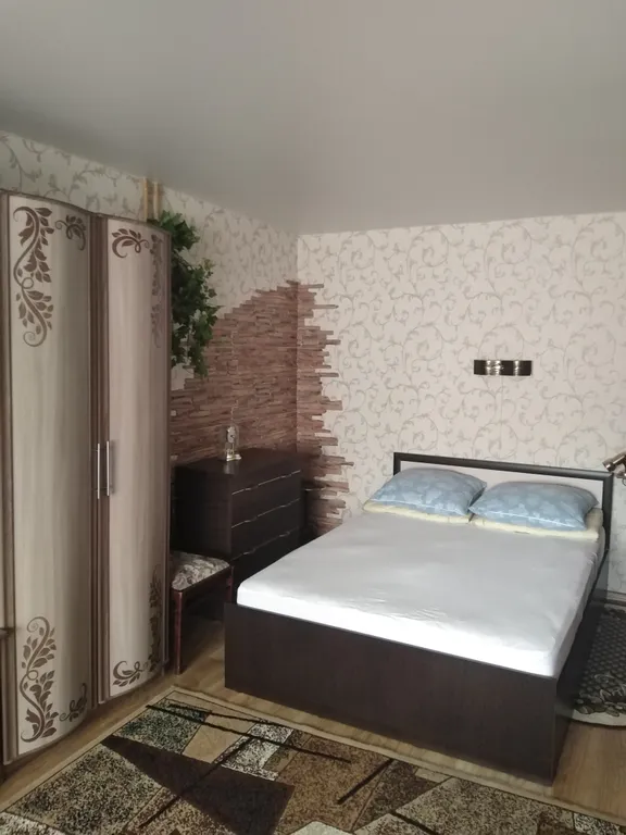 Квартира Просторная квартира — Пушкин