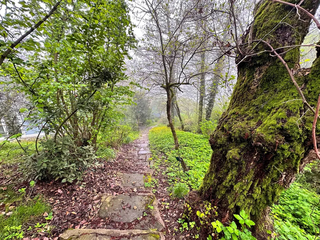 Дом в горах 38 соток