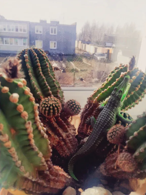 Уютная 2-комнатная квартира в живописном тихом районе города