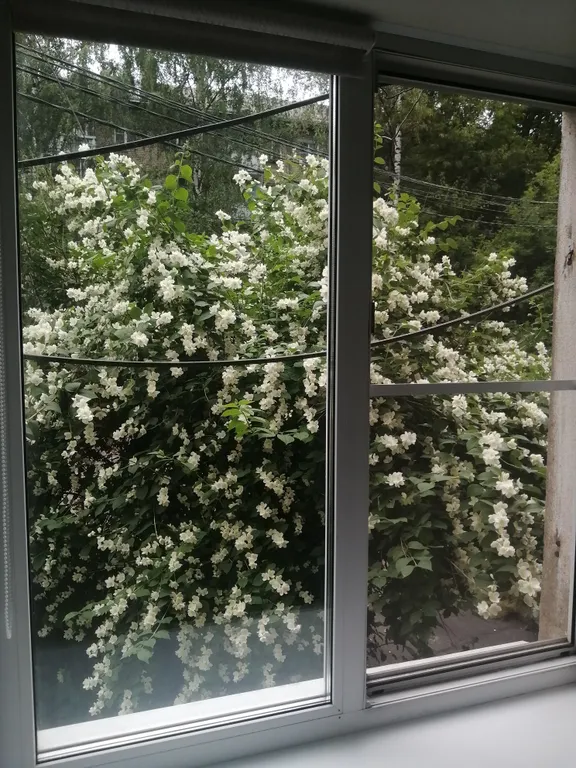 Квартира Квартира в центре — Ярославль