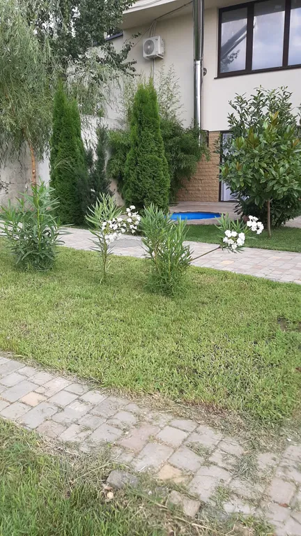 Сруб у моря