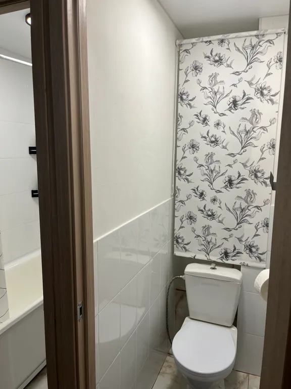 Однокомнатная с кондиционером на Таможне