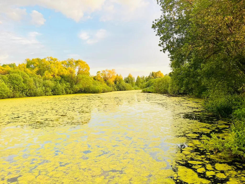 Коттедж Уютный дом на берегу пруда — Семеновское