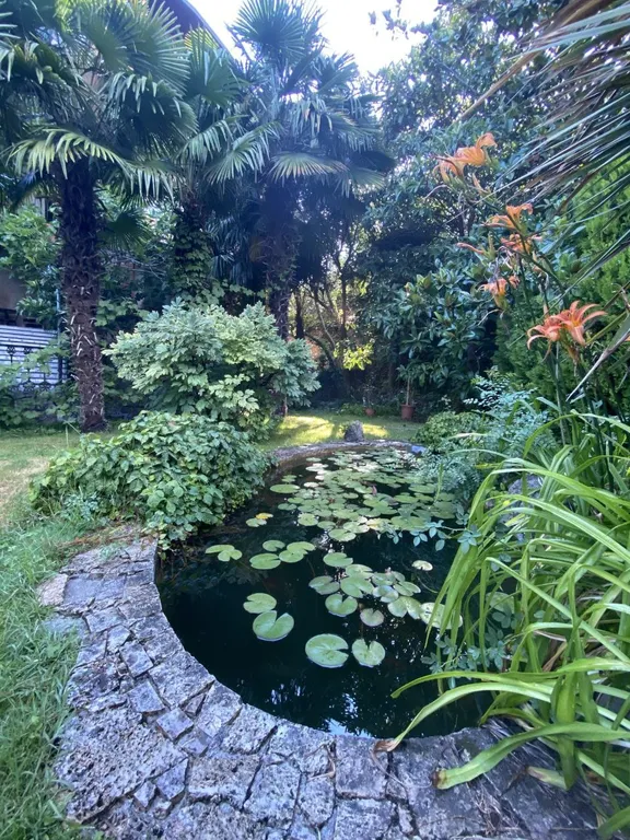 Солнце Ялты