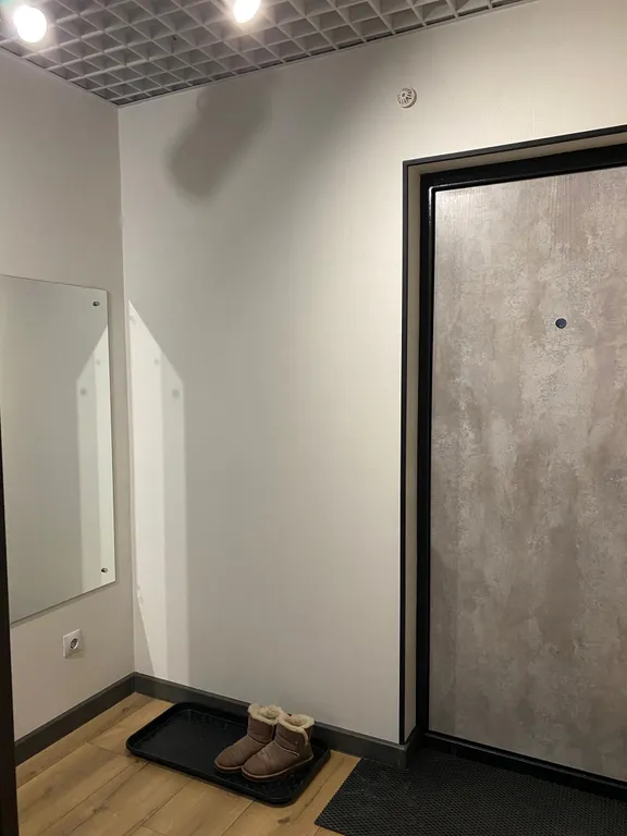 1-комнатная квартира у Александровской набережной