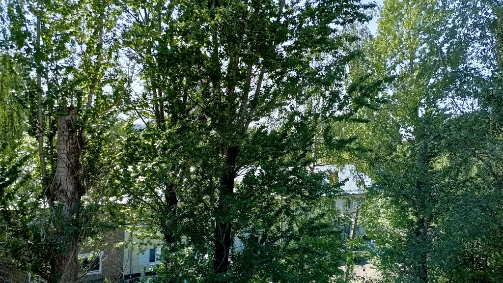 Уютная квартира рядом с парком