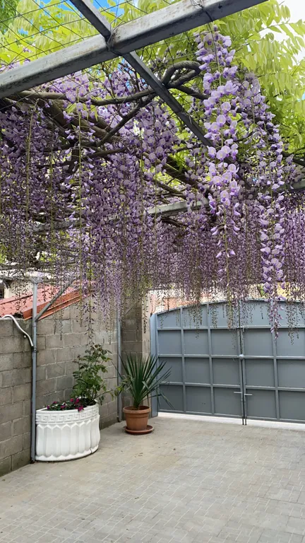 Коттедж Уютный домик для гостей со всеми удобствами на 2 человека — Севастополь