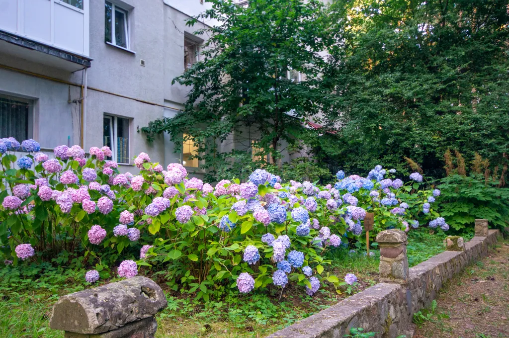 Квартира Квартира на Садовой — Светлогорск
