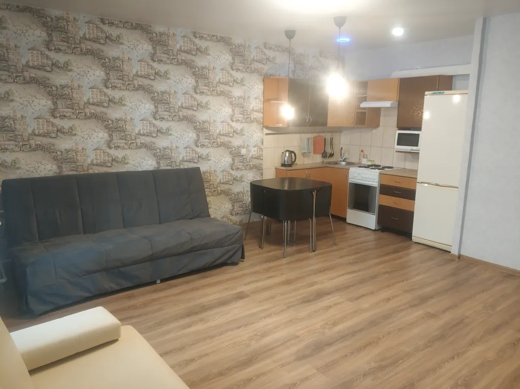 Квартира Квартира Просторная студия — Пушкин