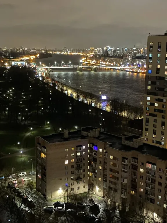 Панорамный вид на красавицу Неву