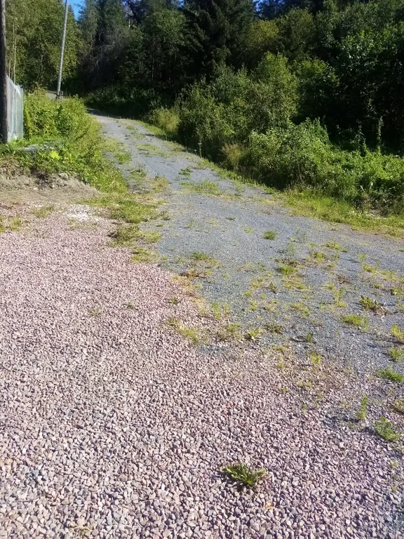 Домик с отдельным входом и красивым видом из окна со всеми удобствами