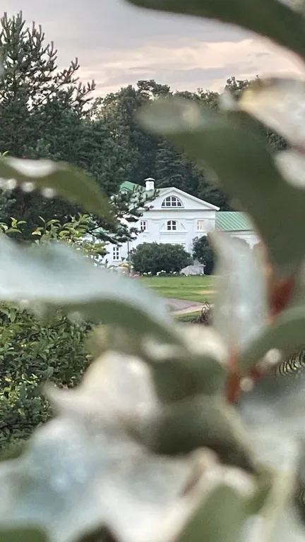 Уютный домик с видом на музей