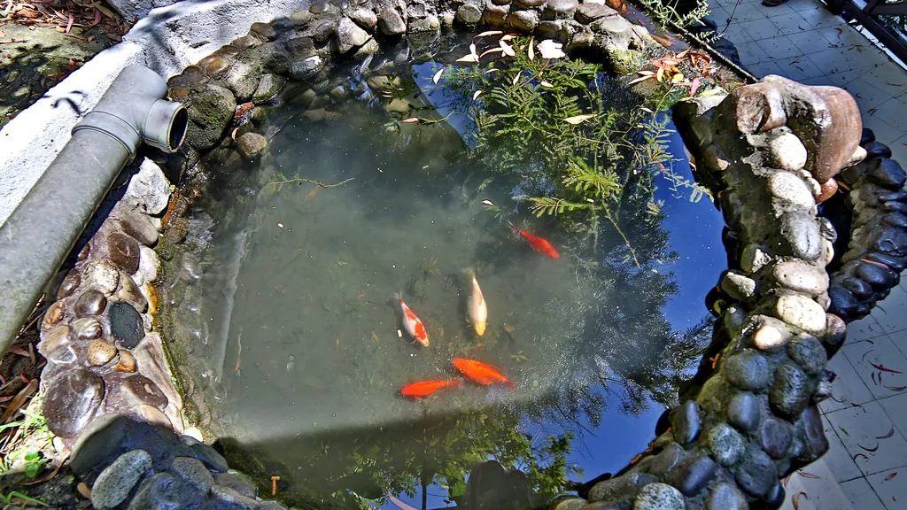 Квартира Комната — Сочи