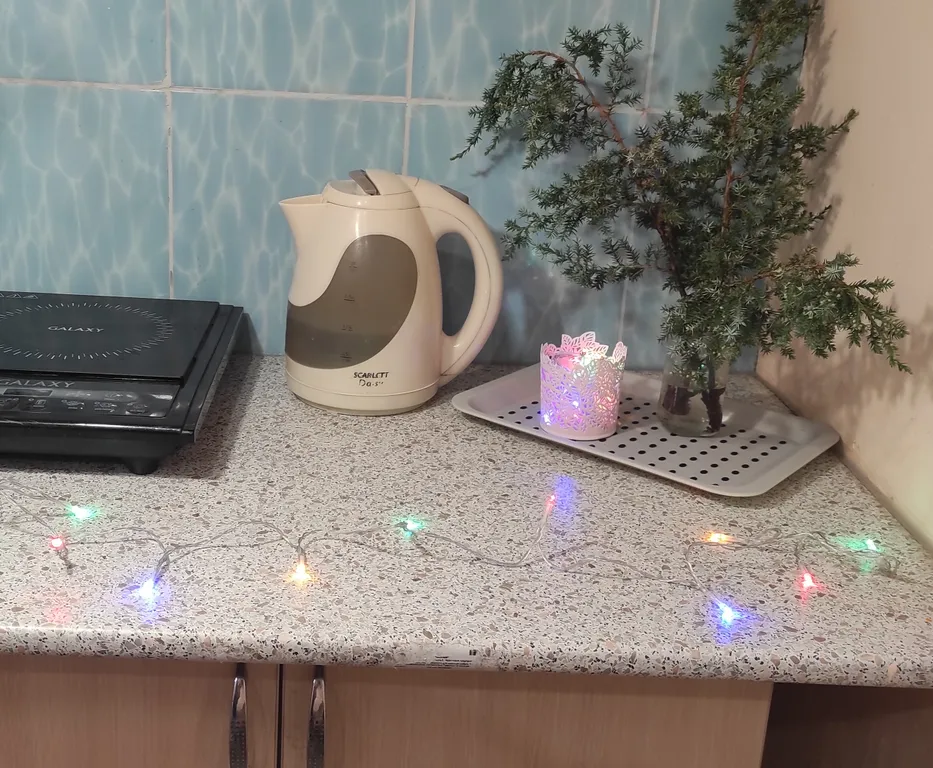 Студия с санузлом и зоной кухни