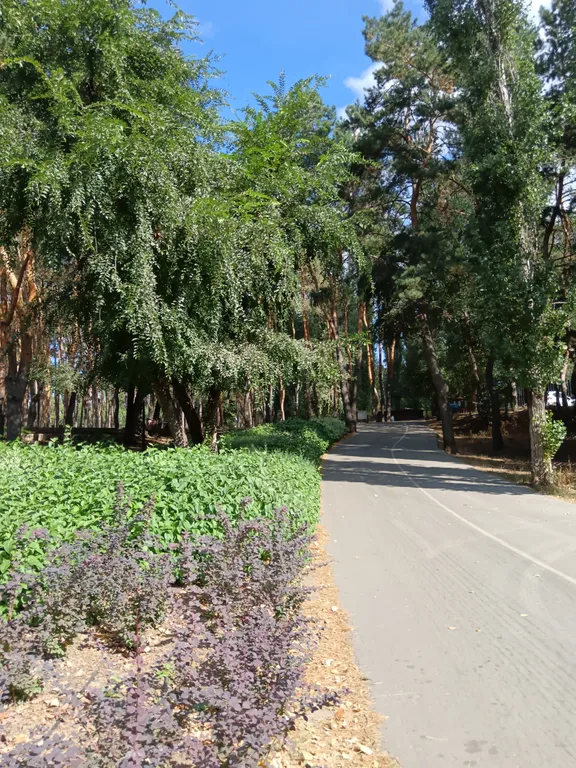 Уютная квартира с видом на водохранилище