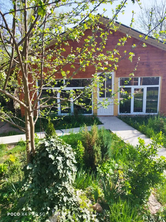 Романтик у реки