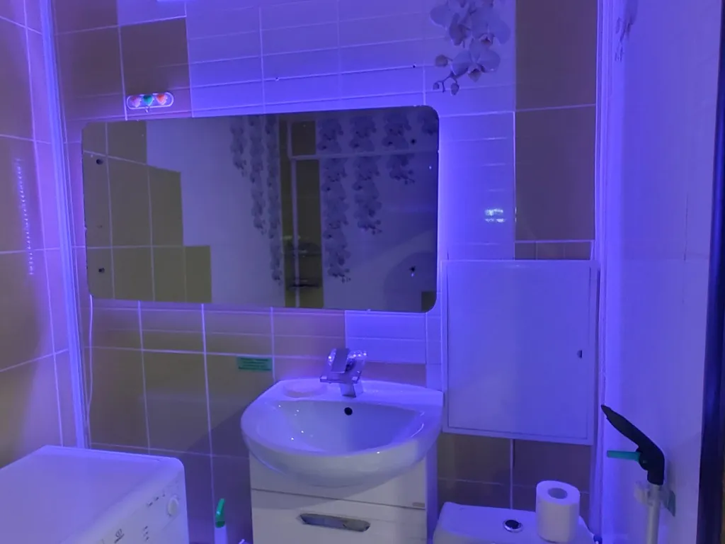 Уютная квартирка с видом на парк