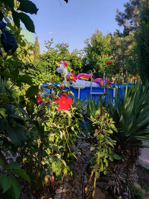 Квартира Квартира Уютная, очень зеленая дача у моря — Севастополь