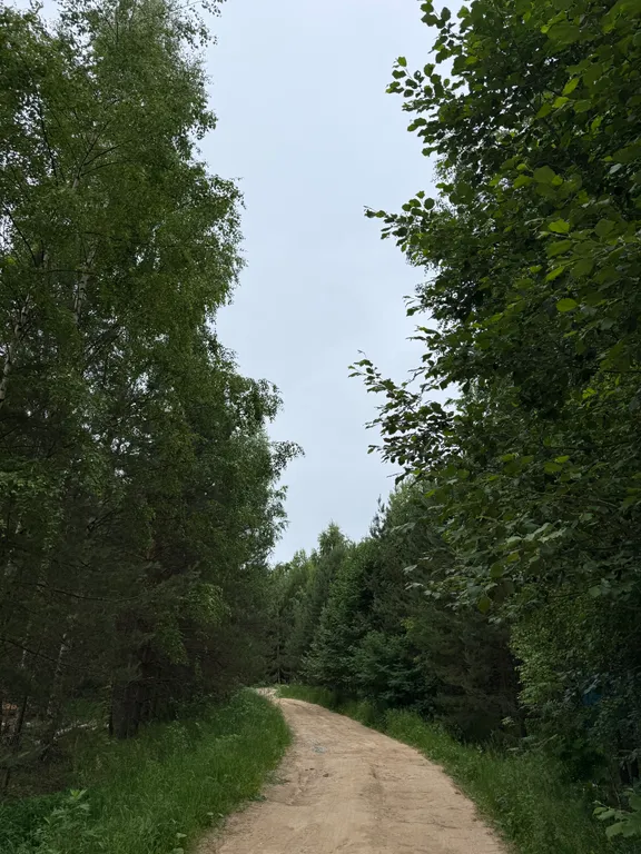 Избушка в лесу, отдельный дом