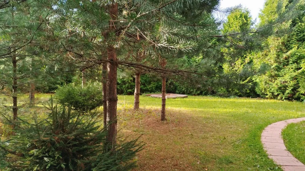 Хуторок на горке