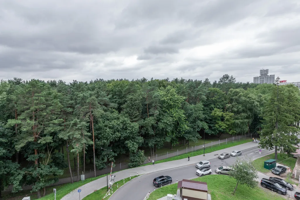 Дизайнерские апартаменты с видом на парк Челюскинцев