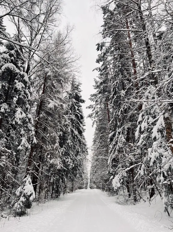 Дом с дизайнерским ремонтом в Подмосковье