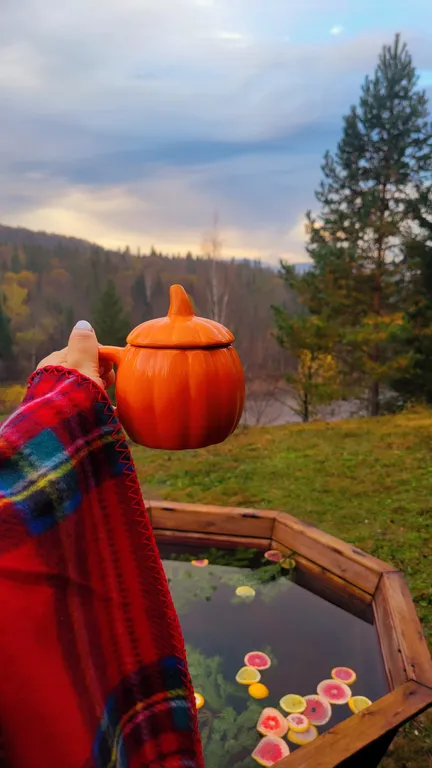 Лесная Гавань