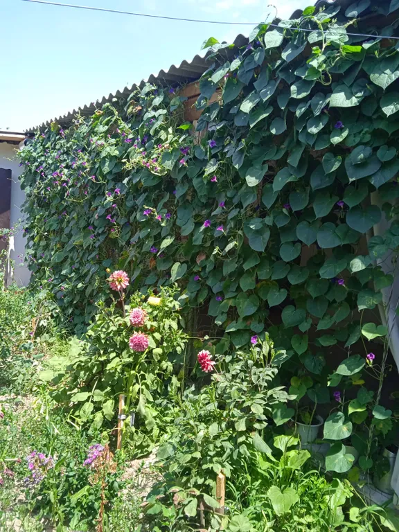 Домик у моря