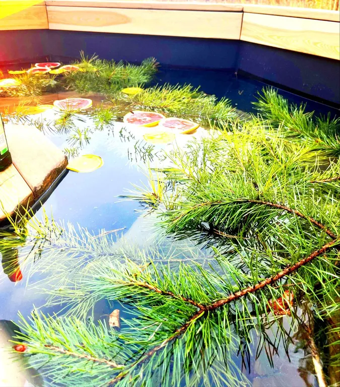 Домик с чаном в лесу