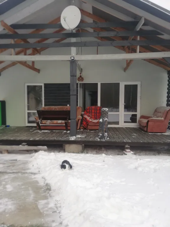 Коттедж Дом в лесу с баней — аренда посуточно в Брест