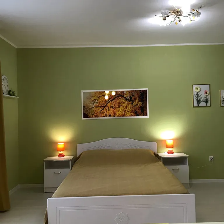 Квартира Квартира Студия Добрый День — Шушары